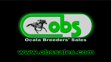 OBS Sales  March 2022
